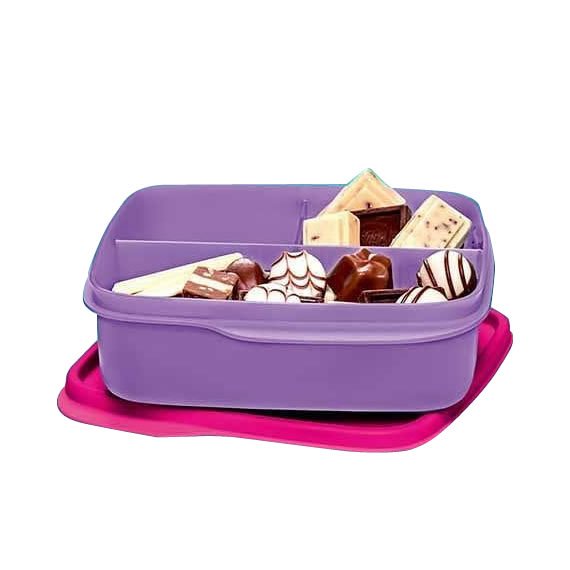 Basic Line com Divisória Floral 550ml