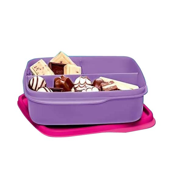 Basic Line com Divisória Floral 550ml