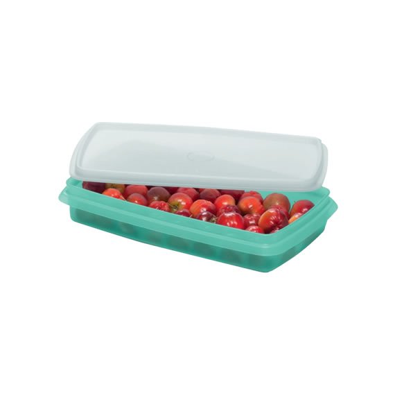 Refri Box Mint 750ml Tupperware