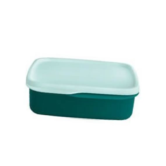 Basic Line com Divisória Verde 550ml