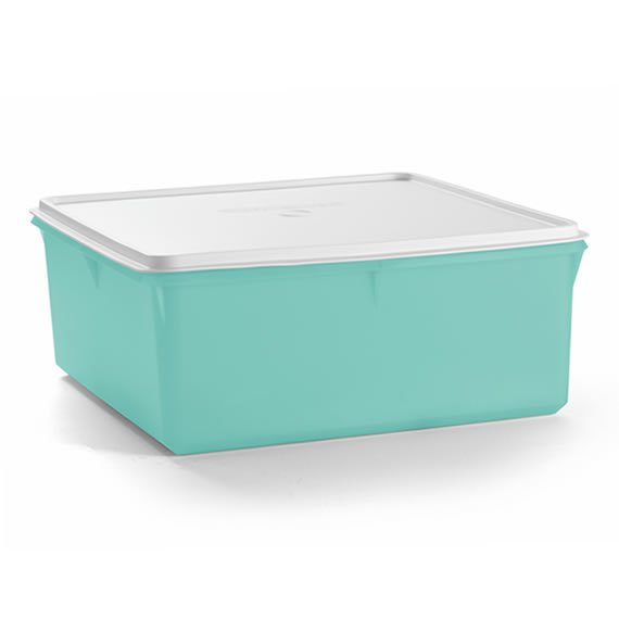 Super Caixa Mint 10L