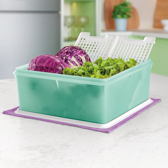 Super Caixa Mint 10L