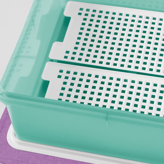 Super Caixa Mint 10L