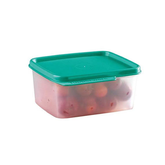 Basic Line Translúcida 500ml