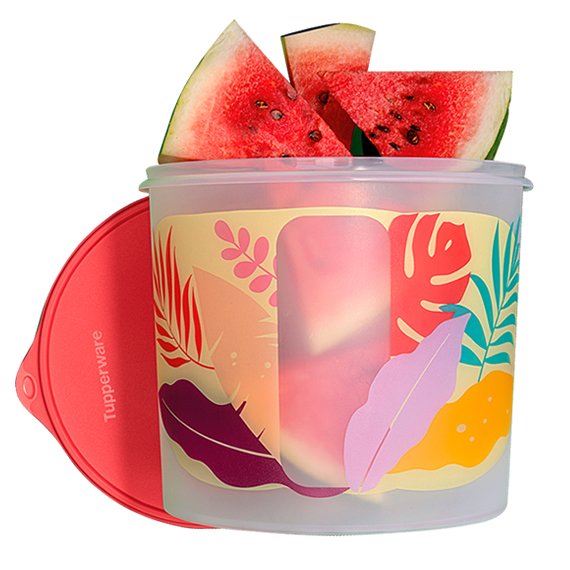 Tupper Caixa Views Tropical 6.5L
