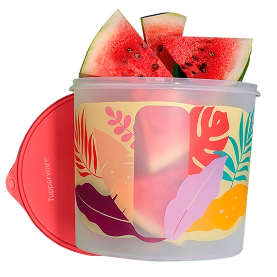 Tupper Caixa Views Tropical 6.5L