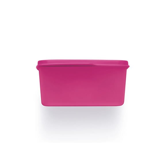 Basic Line Beijo 500ml