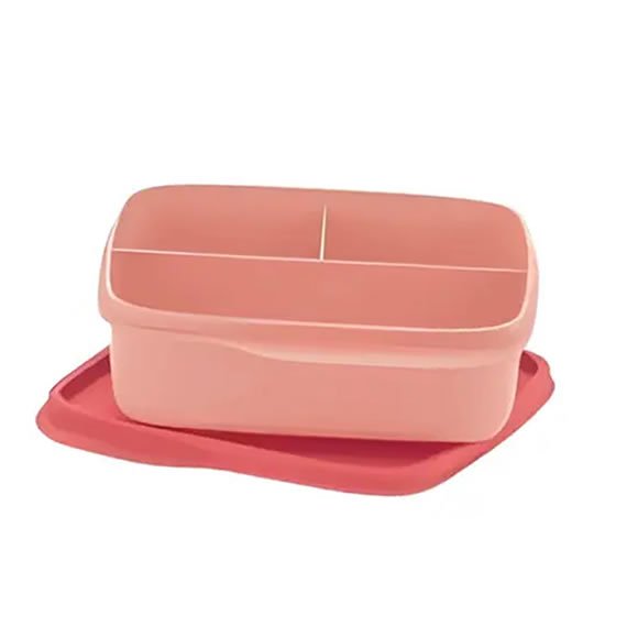 Basic Line com Divisória Rosa Chá 550ml
